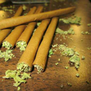 weed-wizardgod avatar