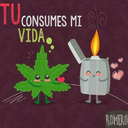 weed4-20-creespy-blog avatar