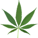 weedcloud-blog avatar