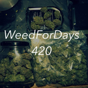 weedfordays420 avatar