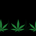 weedstatistics avatar