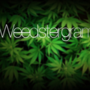 weedstergram avatar