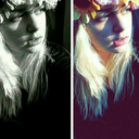 weeping-angels-fly avatar