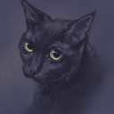 weeping-cat avatar