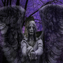 weepingangellll avatar