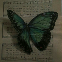 weepingcoquette avatar