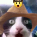 weepingcrusadechild avatar