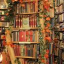 weepingpanda15 avatar