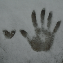 weepingwiddow avatar