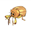 weevilsdaily avatar