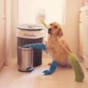 wefeelthewater avatar