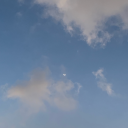 wefoundwonderland avatar