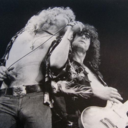 wehavetheanswerstoallyourfears avatar