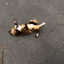 weiluntsou-blog avatar