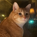 weird-but-fvcking-beautiful avatar