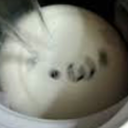 weird-is-my-middle-name-i-swear avatar