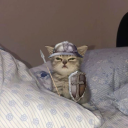 weird-knight-at-night avatar