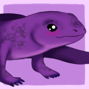 weird-purple-skink avatar