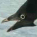 weird-writings avatar