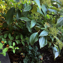 weirdbitterdays avatar