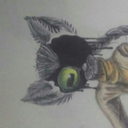 weirddollmaker avatar