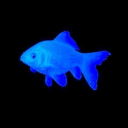 weirdestfishes avatar