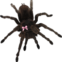 weirdgirlthing avatar