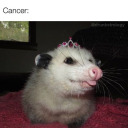 weirdgirlvibecheck avatar