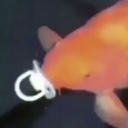 weirdinthehead avatar