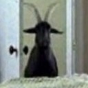 weirdo4weirdo-blog avatar