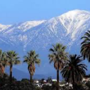 weirdowithaheart avatar