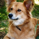 weirdowlstuff avatar