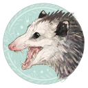 weirdratreblogs avatar