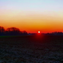 weisnichvielleicht avatar