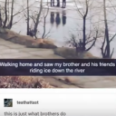 welcome-to-my-horde avatar