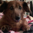 welcomebackyouclown avatar