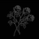 welcometohellbbg avatar