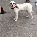 welcometoyourshitlife avatar