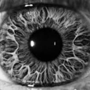 well-catch-me avatar