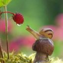 well-i-guess-im-here avatar