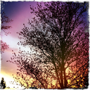 well-you-know avatar