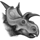 well-you-neednt avatar