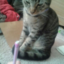 wellbuttermyrumpandcallmet-blog1 avatar