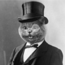 welldressedanimals avatar