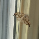 wellexcuuuuuseme avatar