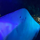 welliguessimherenow avatar