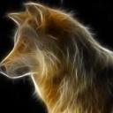 wellthatwentwell avatar