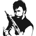 welovechucknorris avatar