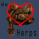 weloveherps-blog avatar