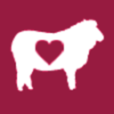 welovesheep avatar